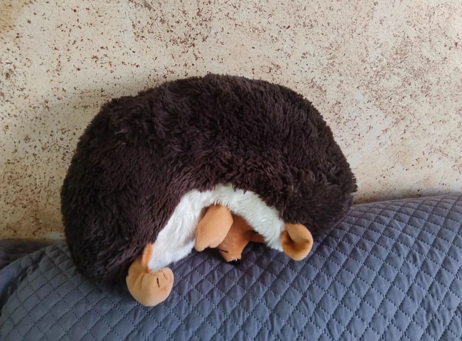 Peluche Erizo – photo 3